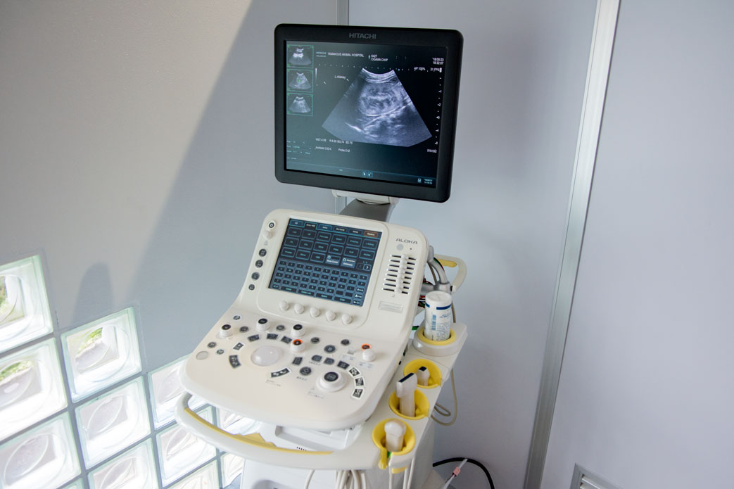 山之上動物病院の設備紹介:ドップラー超音波診断装置