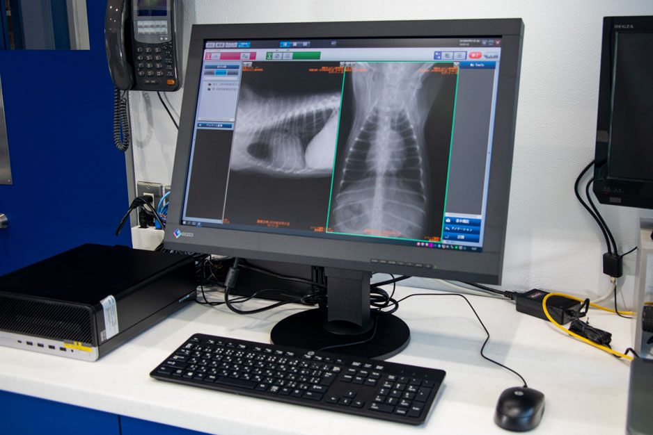 山之上動物病院の設備紹介:デジタルレントゲン画像診断システム