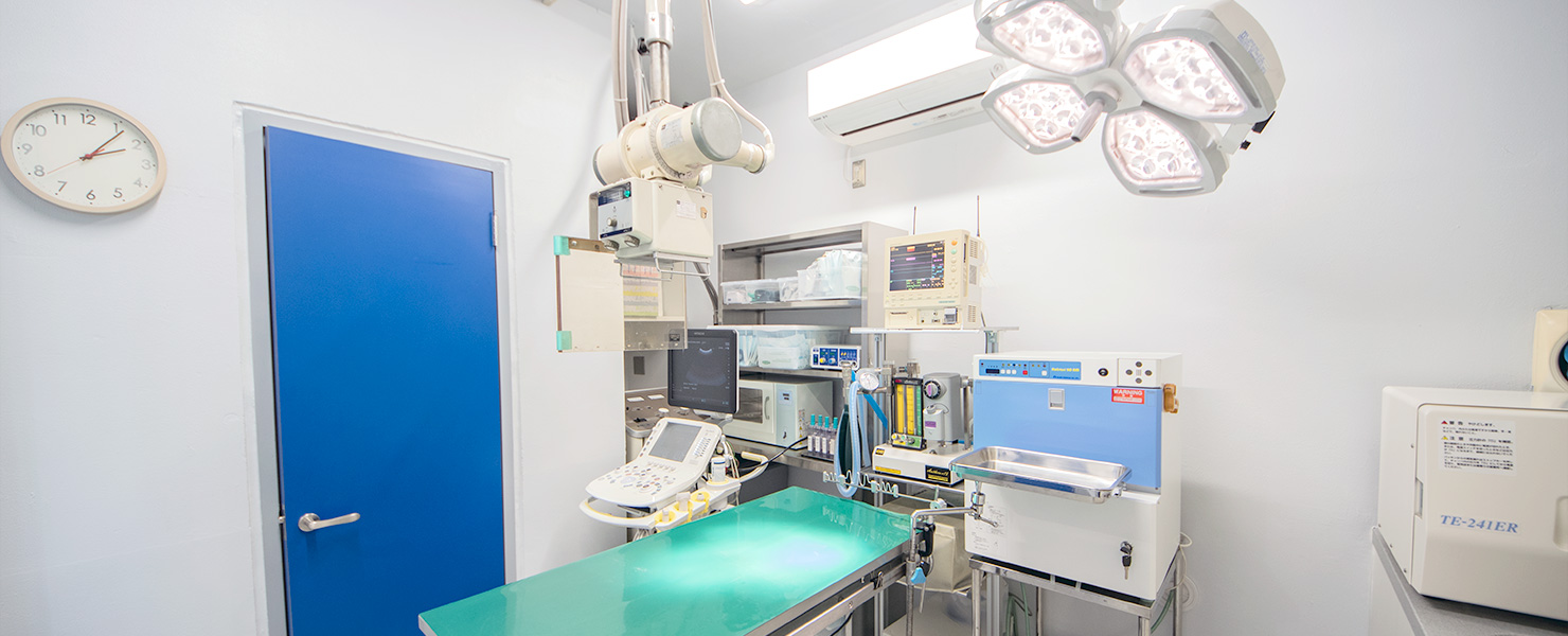 枚方市の山之上動物病院:手術室で使う設備