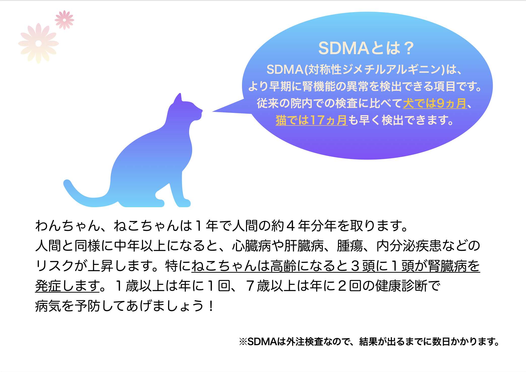 春の健康診断キャンペーン  山之上動物病院