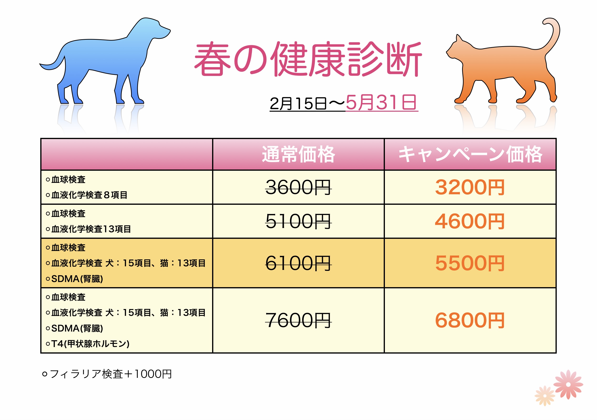 期間延長 春の健康診断キャンペーン 山之上動物病院