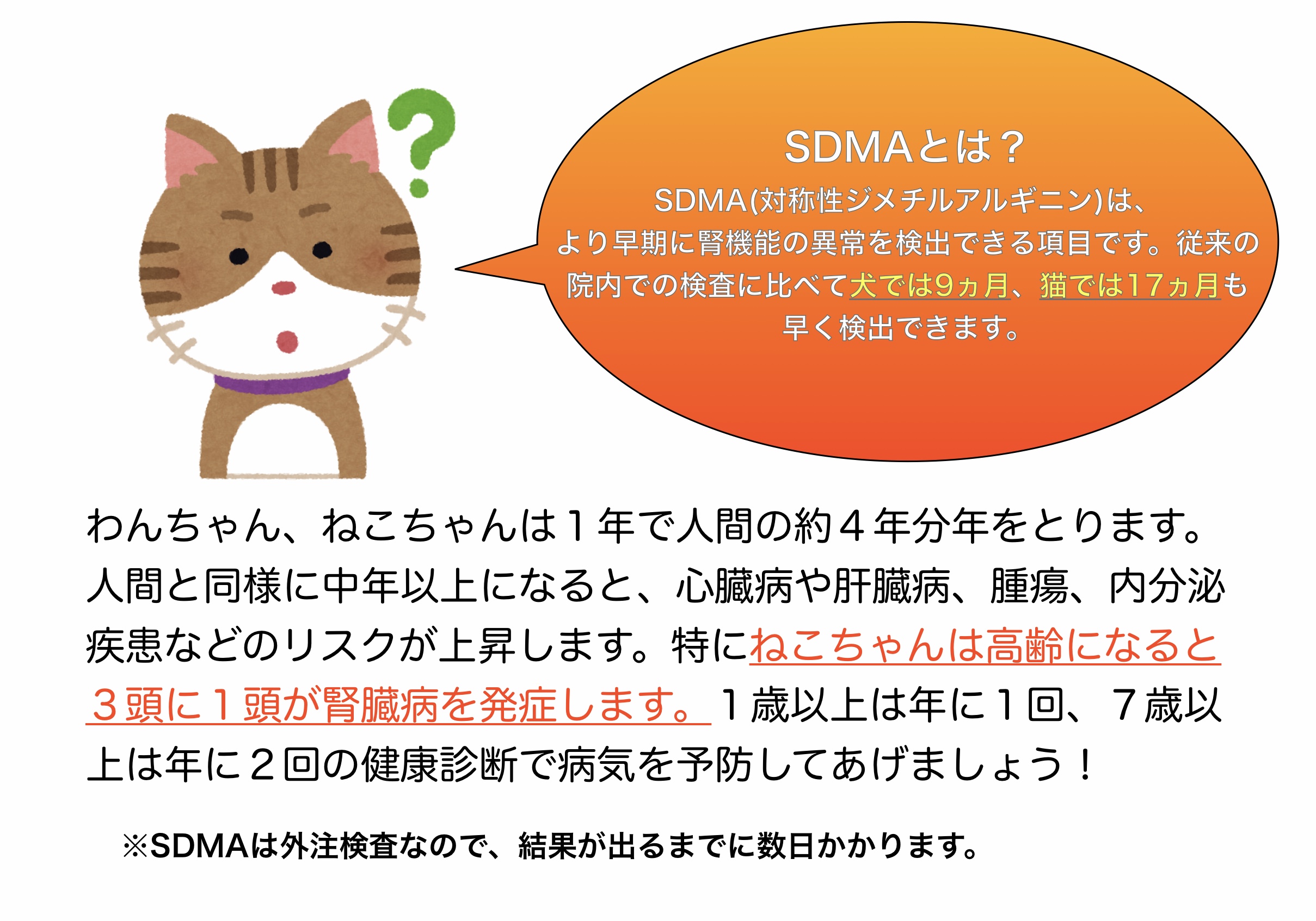秋の健康診断キャンペーン  山之上動物病院